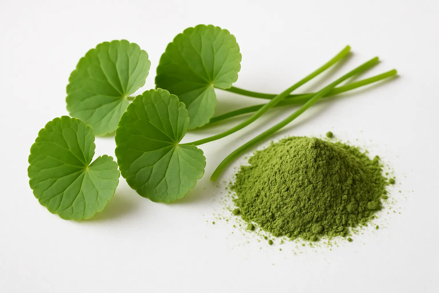 Centella Asiatica Extract